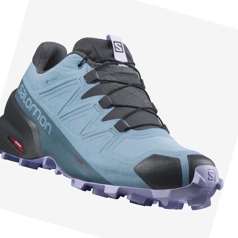 Trailove Bezecke Tenisky Salomon SPEEDCROSS 5 GORE-TEX Damske Hnede | FIDSNUO-32