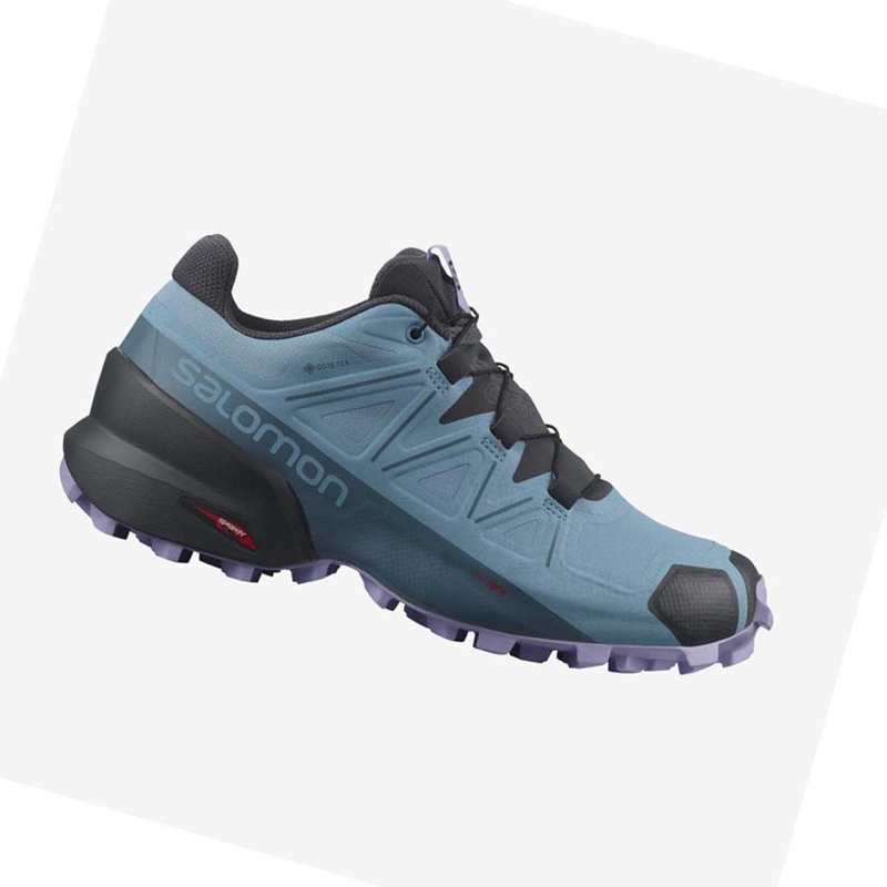 Trailove Bezecke Tenisky Salomon SPEEDCROSS 5 GORE-TEX Damske Hnede | FIDSNUO-32