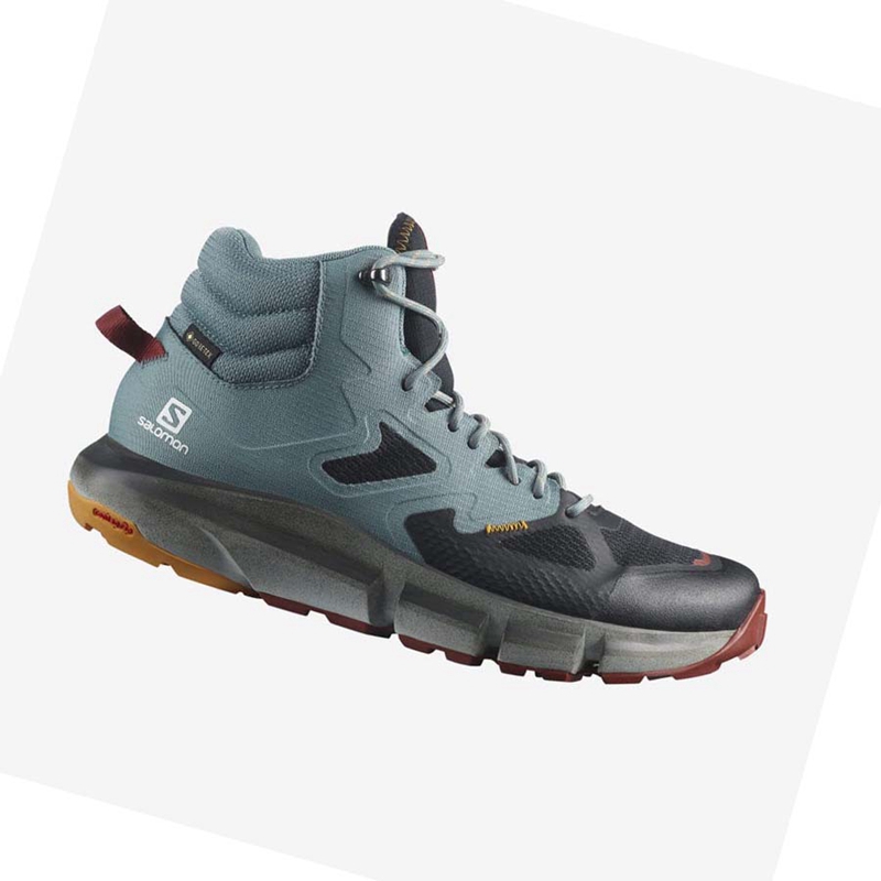 Turisticke Topanky Salomon PREDICT HIKE MID GORE-TEX Panske Tyrkysové | RGPDWSN-97