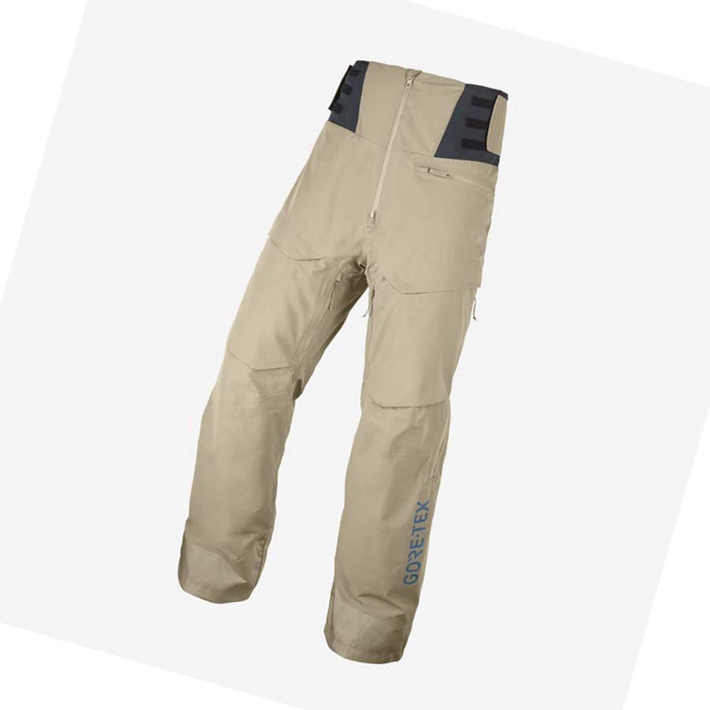 Lyžiarske Nohavice Salomon GRAVITY GORE-TEX Panske Hnede | IKMNUTH-83